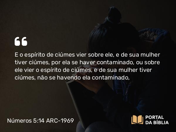 Números 5:14 ARC-1969 - E o espírito de ciúmes vier sobre ele, e de sua mulher tiver ciúmes, por ela se haver contaminado, ou sobre ele vier o espírito de ciúmes, e de sua mulher tiver ciúmes, não se havendo ela contaminado,