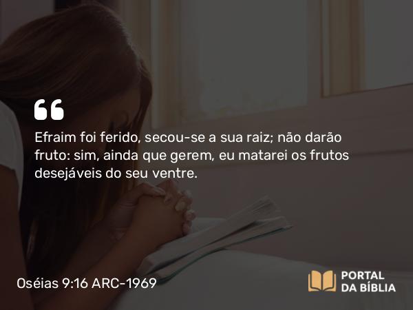 Oséias 9:16 ARC-1969 - Efraim foi ferido, secou-se a sua raiz; não darão fruto: sim, ainda que gerem, eu matarei os frutos desejáveis do seu ventre.