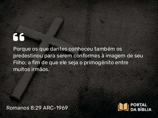 Romanos 8:29 ARC-1969 - Porque os que dantes conheceu também os predestinou para serem conformes à imagem de seu Filho; a fim de que ele seja o primogênito entre muitos irmãos.