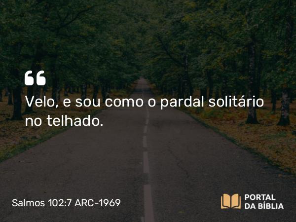 Salmos 102:7 ARC-1969 - Velo, e sou como o pardal solitário no telhado.