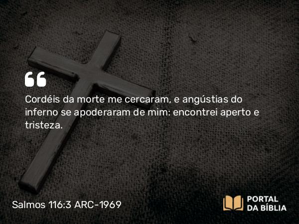 Salmos 116:3 ARC-1969 - Cordéis da morte me cercaram, e angústias do inferno se apoderaram de mim: encontrei aperto e tristeza.