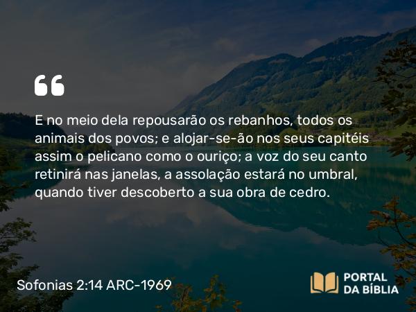 Sofonias 2:14 ARC-1969 - E no meio dela repousarão os rebanhos, todos os animais dos povos; e alojar-se-ão nos seus capitéis assim o pelicano como o ouriço; a voz do seu canto retinirá nas janelas, a assolação estará no umbral, quando tiver descoberto a sua obra de cedro.