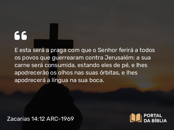 Zacarias 14:12 ARC-1969 - E esta será a praga com que o Senhor ferirá a todos os povos que guerrearam contra Jerusalém: a sua carne será consumida, estando eles de pé, e lhes apodrecerão os olhos nas suas órbitas, e lhes apodrecerá a língua na sua boca.