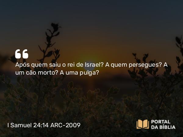 I Samuel 24:14 ARC-2009 - Após quem saiu o rei de Israel? A quem persegues? A um cão morto? A uma pulga?