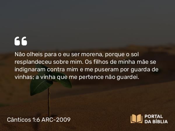 Cânticos 1:6 ARC-2009 - Não olheis para o eu ser morena, porque o sol resplandeceu sobre mim. Os filhos de minha mãe se indignaram contra mim e me puseram por guarda de vinhas; a vinha que me pertence não guardei.