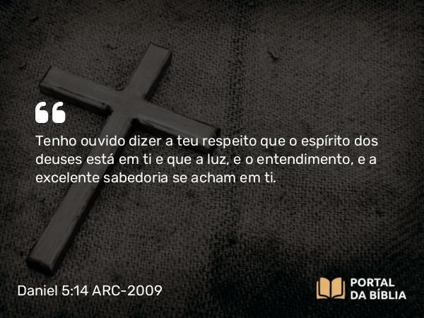 Daniel 5:14 ARC-2009 - Tenho ouvido dizer a teu respeito que o espírito dos deuses está em ti e que a luz, e o entendimento, e a excelente sabedoria se acham em ti.