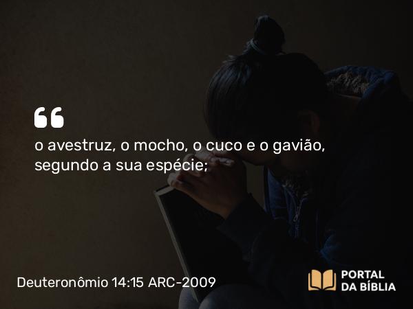 Deuteronômio 14:15 ARC-2009 - o avestruz, o mocho, o cuco e o gavião, segundo a sua espécie;