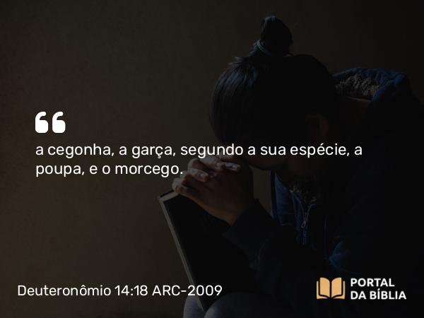 Deuteronômio 14:18 ARC-2009 - a cegonha, a garça, segundo a sua espécie, a poupa, e o morcego.