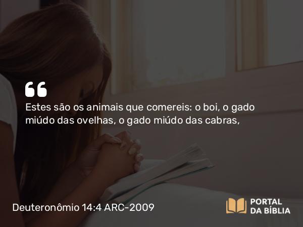 Deuteronômio 14:4 ARC-2009 - Estes são os animais que comereis: o boi, o gado miúdo das ovelhas, o gado miúdo das cabras,