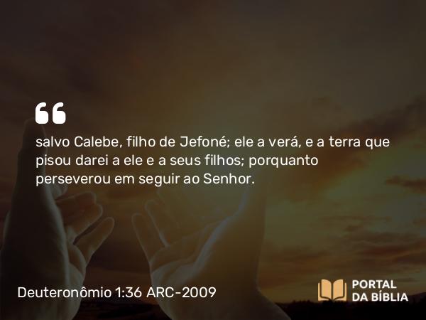 Deuteronômio 1:36 ARC-2009 - salvo Calebe, filho de Jefoné; ele a verá, e a terra que pisou darei a ele e a seus filhos; porquanto perseverou em seguir ao Senhor.