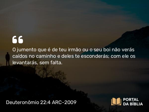 Deuteronômio 22:4 ARC-2009 - O jumento que é de teu irmão ou o seu boi não verás caídos no caminho e deles te esconderás; com ele os levantarás, sem falta.