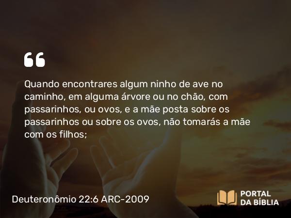 Deuteronômio 22:6 ARC-2009 - Quando encontrares algum ninho de ave no caminho, em alguma árvore ou no chão, com passarinhos, ou ovos, e a mãe posta sobre os passarinhos ou sobre os ovos, não tomarás a mãe com os filhos;