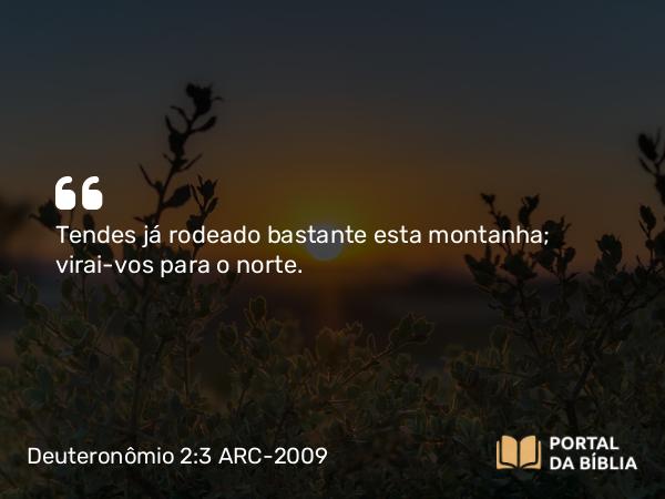 Deuteronômio 2:3 ARC-2009 - Tendes já rodeado bastante esta montanha; virai-vos para o norte.