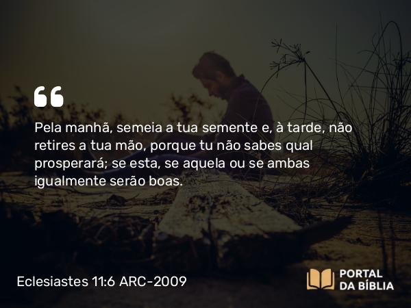 Eclesiastes 11:6 ARC-2009 - Pela manhã, semeia a tua semente e, à tarde, não retires a tua mão, porque tu não sabes qual prosperará; se esta, se aquela ou se ambas igualmente serão boas.