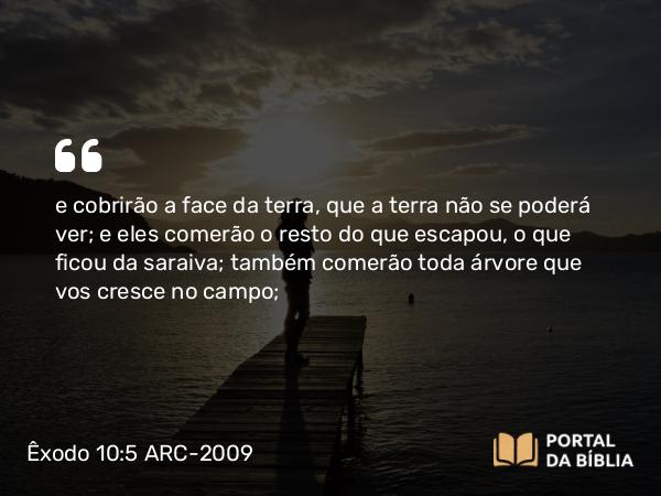 Êxodo 10:5 ARC-2009 - e cobrirão a face da terra, que a terra não se poderá ver; e eles comerão o resto do que escapou, o que ficou da saraiva; também comerão toda árvore que vos cresce no campo;