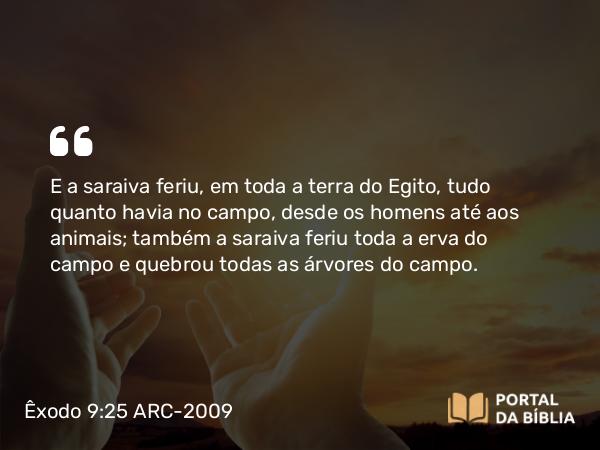 Êxodo 9:25 ARC-2009 - E a saraiva feriu, em toda a terra do Egito, tudo quanto havia no campo, desde os homens até aos animais; também a saraiva feriu toda a erva do campo e quebrou todas as árvores do campo.