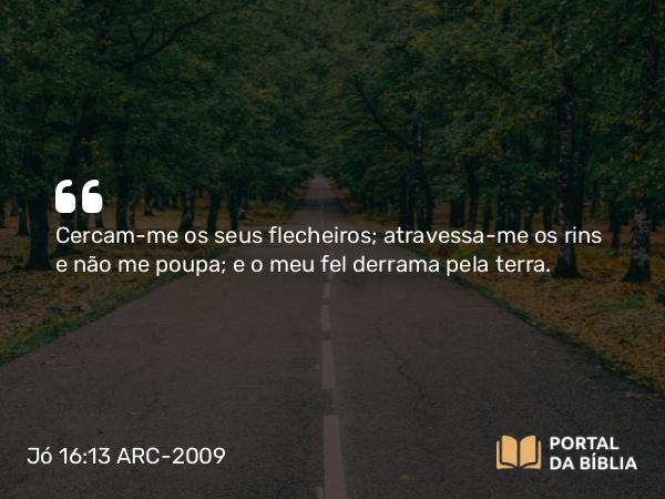 Jó 16:13 ARC-2009 - Cercam-me os seus flecheiros; atravessa-me os rins e não me poupa; e o meu fel derrama pela terra.