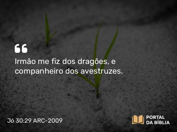 Jó 30:29 ARC-2009 - Irmão me fiz dos dragões, e companheiro dos avestruzes.