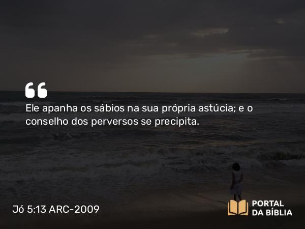 Jó 5:13 ARC-2009 - Ele apanha os sábios na sua própria astúcia; e o conselho dos perversos se precipita.