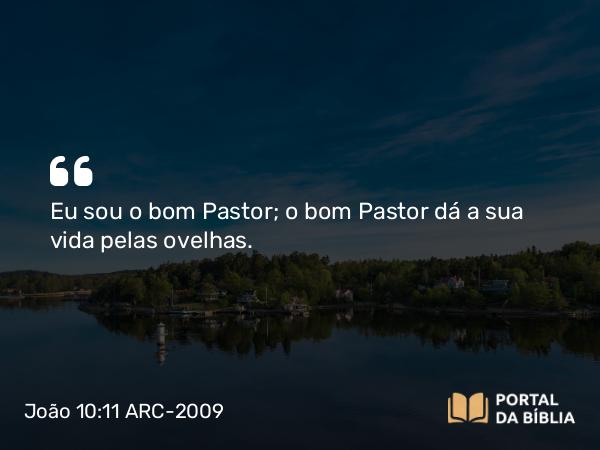 João 10:11 ARC-2009 - Eu sou o bom Pastor; o bom Pastor dá a sua vida pelas ovelhas.