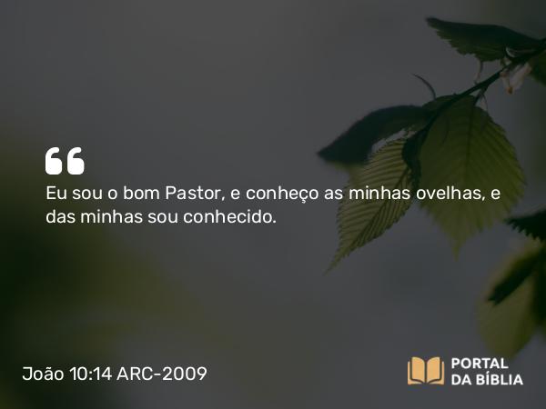 João 10:14 ARC-2009 - Eu sou o bom Pastor, e conheço as minhas ovelhas, e das minhas sou conhecido.