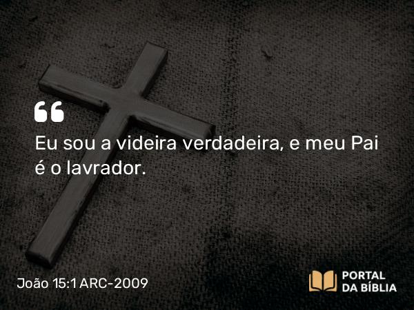 João 15:1 ARC-2009 - Eu sou a videira verdadeira, e meu Pai é o lavrador.