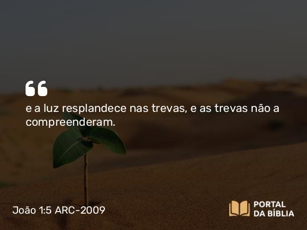 João 1:5 ARC-2009 - e a luz resplandece nas trevas, e as trevas não a compreenderam.