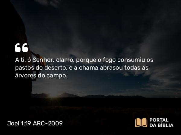 Joel 1:19-20 ARC-2009 - A ti, ó Senhor, clamo, porque o fogo consumiu os pastos do deserto, e a chama abrasou todas as árvores do campo.