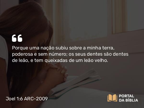 Joel 1:6 ARC-2009 - Porque uma nação subiu sobre a minha terra, poderosa e sem número; os seus dentes são dentes de leão, e tem queixadas de um leão velho.