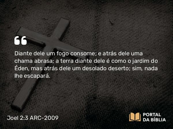 Joel 2:3 ARC-2009 - Diante dele um fogo consome; e atrás dele uma chama abrasa; a terra diante dele é como o jardim do Éden, mas atrás dele um desolado deserto; sim, nada lhe escapará.