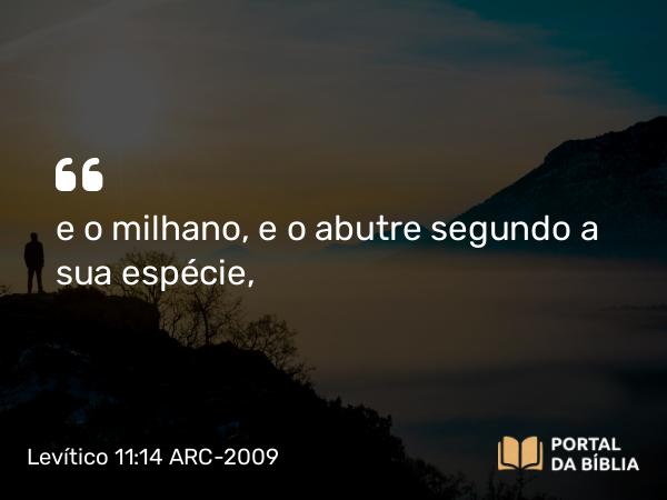 Levítico 11:14 ARC-2009 - e o milhano, e o abutre segundo a sua espécie,