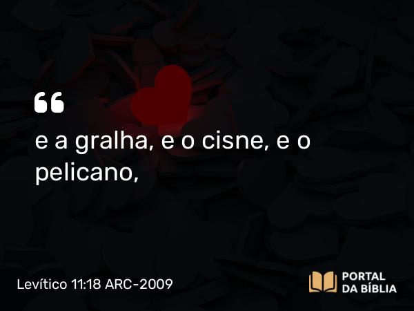 Levítico 11:18 ARC-2009 - e a gralha, e o cisne, e o pelicano,