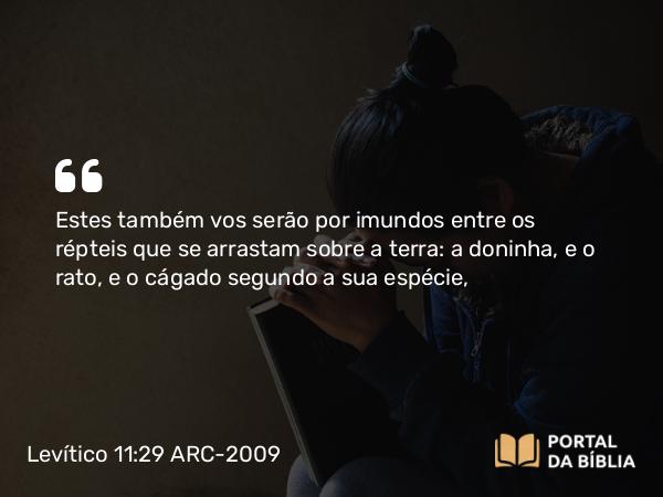 Levítico 11:29 ARC-2009 - Estes também vos serão por imundos entre os répteis que se arrastam sobre a terra: a doninha, e o rato, e o cágado segundo a sua espécie,