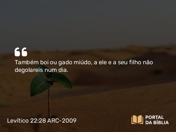 Levítico 22:28 ARC-2009 - Também boi ou gado miúdo, a ele e a seu filho não degolareis num dia.