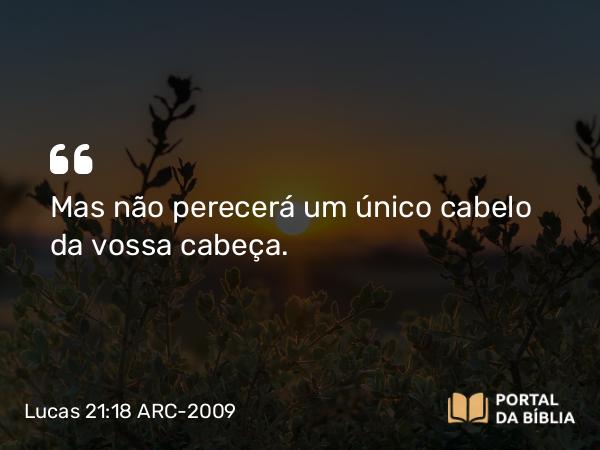 Lucas 21:18 ARC-2009 - Mas não perecerá um único cabelo da vossa cabeça.