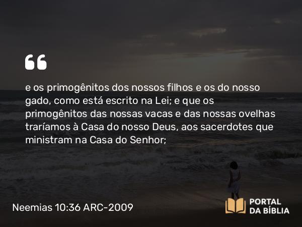 Neemias 10:36 ARC-2009 - e os primogênitos dos nossos filhos e os do nosso gado, como está escrito na Lei; e que os primogênitos das nossas vacas e das nossas ovelhas traríamos à Casa do nosso Deus, aos sacerdotes que ministram na Casa do Senhor;