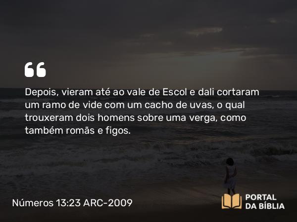 Números 13:23 ARC-2009 - Depois, vieram até ao vale de Escol e dali cortaram um ramo de vide com um cacho de uvas, o qual trouxeram dois homens sobre uma verga, como também romãs e figos.