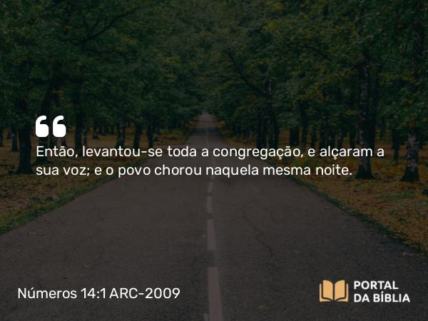 Números 14:1 ARC-2009 - Então, levantou-se toda a congregação, e alçaram a sua voz; e o povo chorou naquela mesma noite.