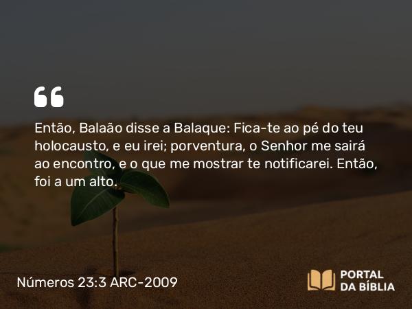 Números 23:3 ARC-2009 - Então, Balaão disse a Balaque: Fica-te ao pé do teu holocausto, e eu irei; porventura, o Senhor me sairá ao encontro, e o que me mostrar te notificarei. Então, foi a um alto.