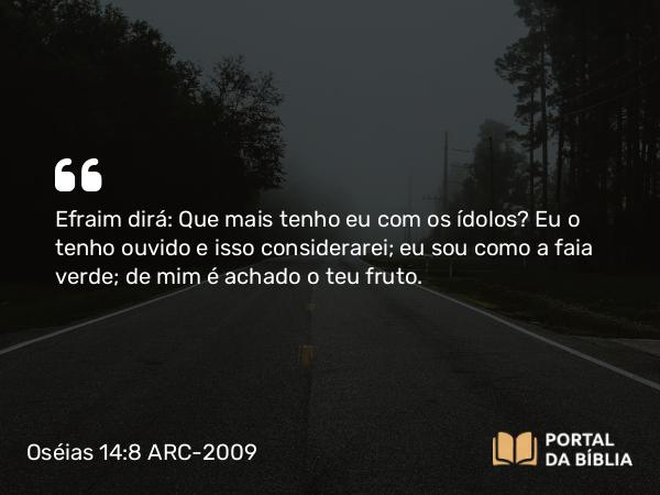 Oséias 14:8 ARC-2009 - Efraim dirá: Que mais tenho eu com os ídolos? Eu o tenho ouvido e isso considerarei; eu sou como a faia verde; de mim é achado o teu fruto.