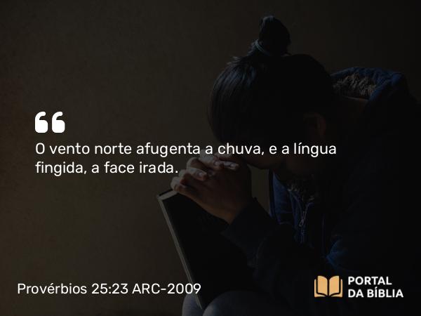 Provérbios 25:23 ARC-2009 - O vento norte afugenta a chuva, e a língua fingida, a face irada.