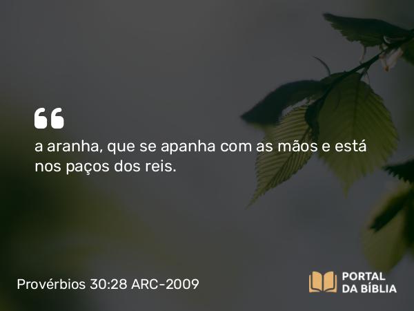 Provérbios 30:28 ARC-2009 - a aranha, que se apanha com as mãos e está nos paços dos reis.