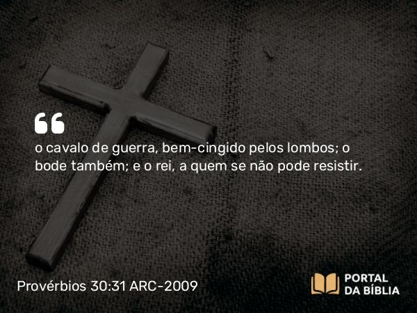 Provérbios 30:31 ARC-2009 - o cavalo de guerra, bem-cingido pelos lombos; o bode também; e o rei, a quem se não pode resistir.