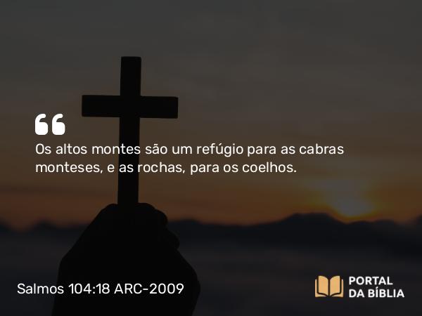 Salmos 104:18 ARC-2009 - Os altos montes são um refúgio para as cabras monteses, e as rochas, para os coelhos.