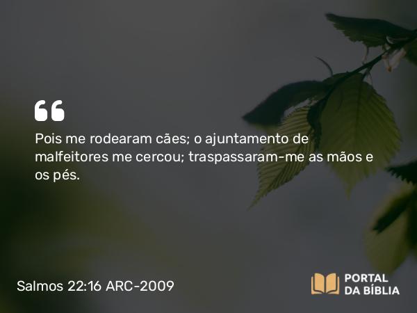 Salmos 22:16 ARC-2009 - Pois me rodearam cães; o ajuntamento de malfeitores me cercou; traspassaram-me as mãos e os pés.