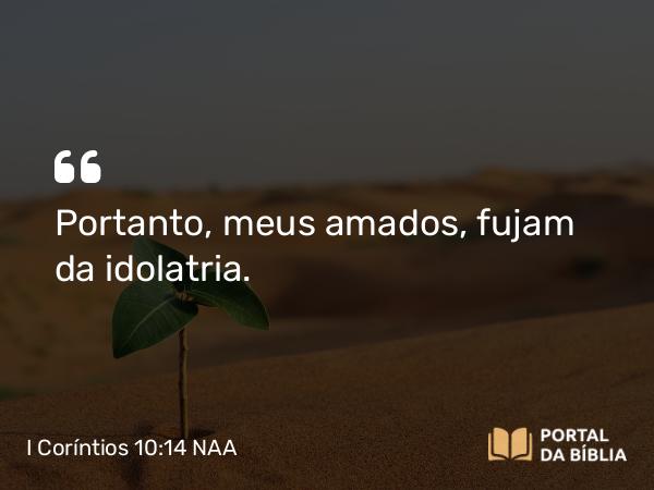 I Coríntios 10:14 NAA - Portanto, meus amados, fujam da idolatria.