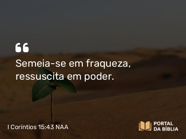 I Coríntios 15:43 NAA - Semeia-se em fraqueza, ressuscita em poder.