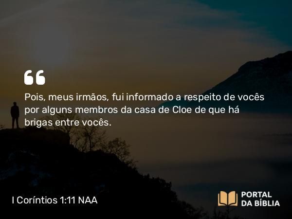 I Coríntios 1:11 NAA - Pois, meus irmãos, fui informado a respeito de vocês por alguns membros da casa de Cloe de que há brigas entre vocês.