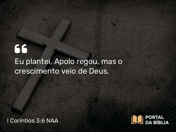 I Coríntios 3:6 NAA - Eu plantei, Apolo regou, mas o crescimento veio de Deus.