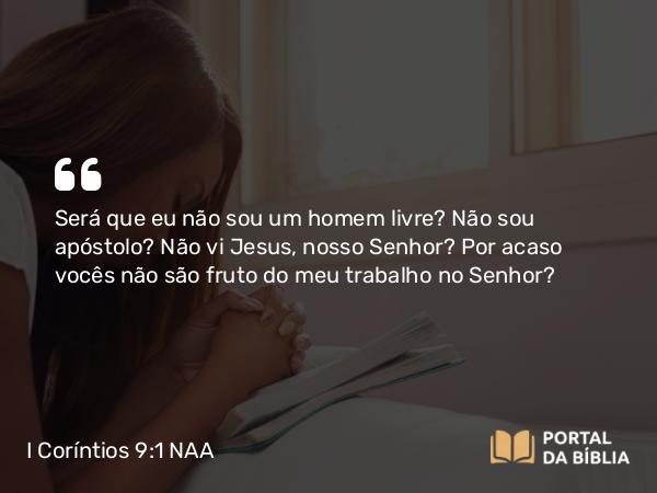 I Coríntios 9:1 NAA - Será que eu não sou um homem livre? Não sou apóstolo? Não vi Jesus, nosso Senhor? Por acaso vocês não são fruto do meu trabalho no Senhor?